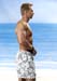 sw_hawai3